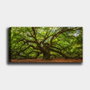 Wallity Lienzo Decorativo Multicolor 50 x 120 cm